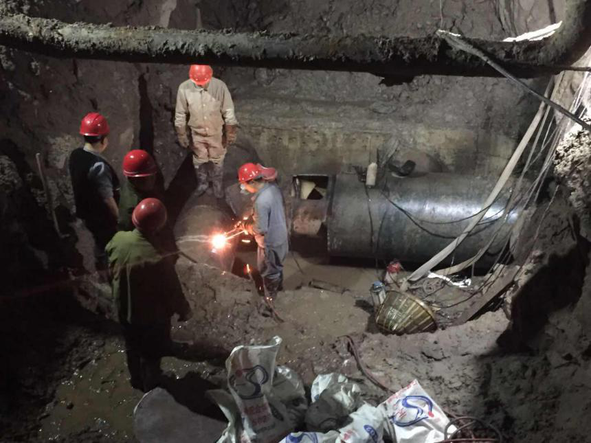 嚴(yán)冬不肅殺  何以見陽春